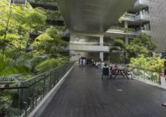 Hard to fit biophilic design on a checklist